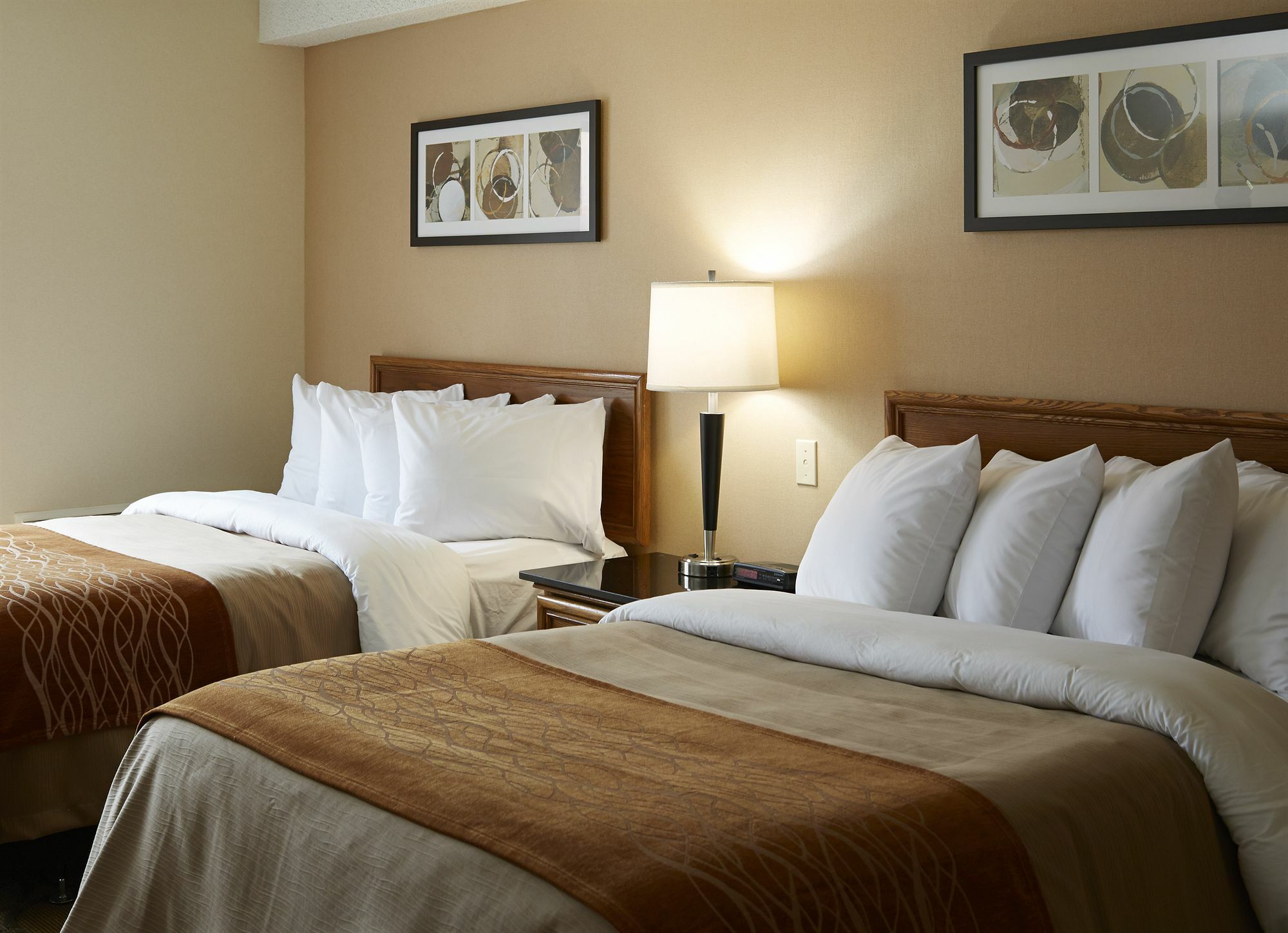 Comfort Inn Hwy 401 Kingston Zewnętrze zdjęcie